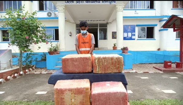 सिन्धुलीमा १०७ किलो गाँजा बरामद, चालक नियन्त्रणमा