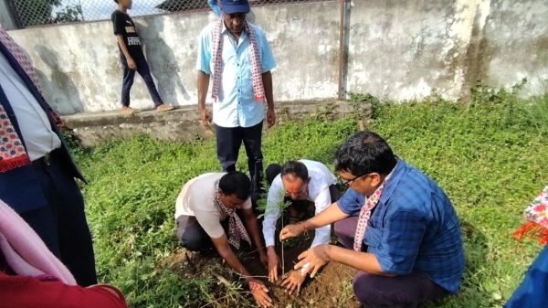 सिन्धुलीमा चुरे संरक्षण दिवसको अवसरमा वृक्षारोपण कार्यक्रम सम्पन्न