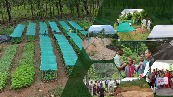 खोला नियन्त्रणदेखि घाँस नर्सरीसम्म: चुरे उत्थान कार्यक्रमले बदलिँदैछ सिन्धुली