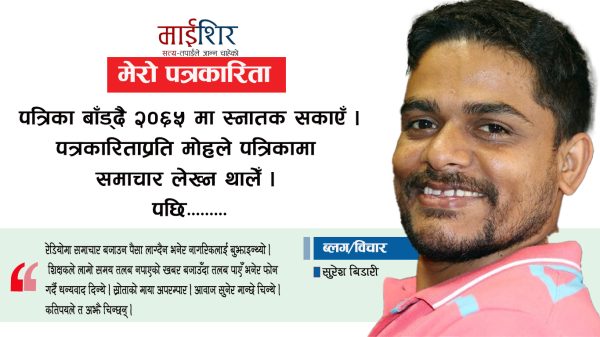 पत्रकारिता पेसा, अनि पैसा