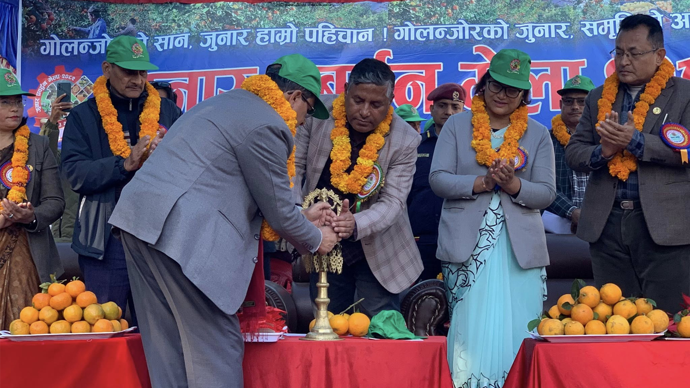 गोलन्जोर गाउँपालिकामा जुनार प्रवर्धन मेला सुरु, बागमती प्रदेशका कृषि मन्त्री पौडेलद्वारा उद्घाटन